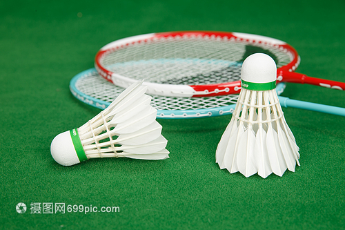 己的个人表 己的个人表